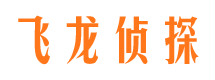 平湖市侦探公司